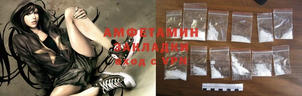 индика Беломорск