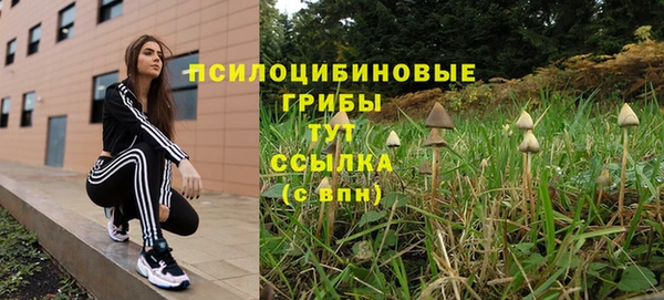 2c-b Богородицк