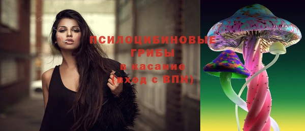индика Беломорск