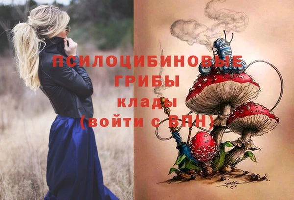 молекула духа Семёнов