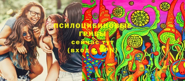 2c-b Богородицк