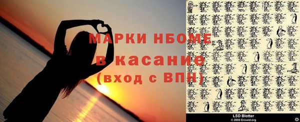 индика Беломорск
