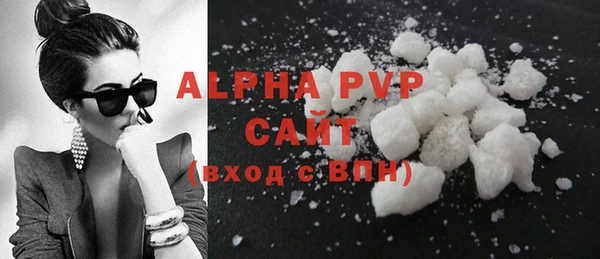 индика Беломорск